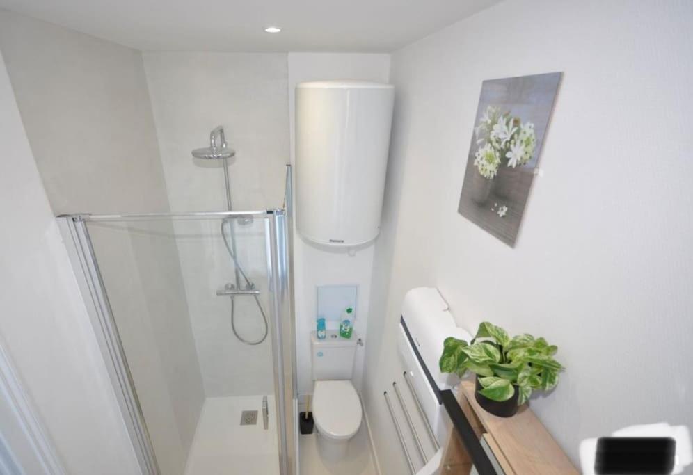 Studio Meuble 3 Etoile 236 Виттель Экстерьер фото